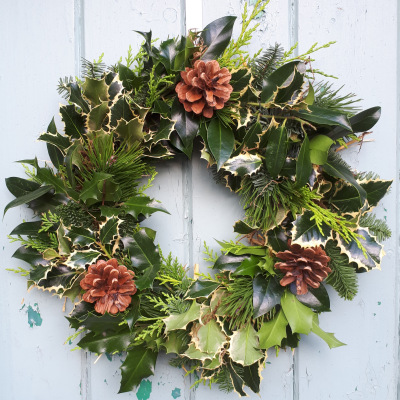 Holly wreath - A traditional holly wreath with cones.....available from 23rd November. Holly wreath - A traditional holly wreath with cones.....available from 23rd November.